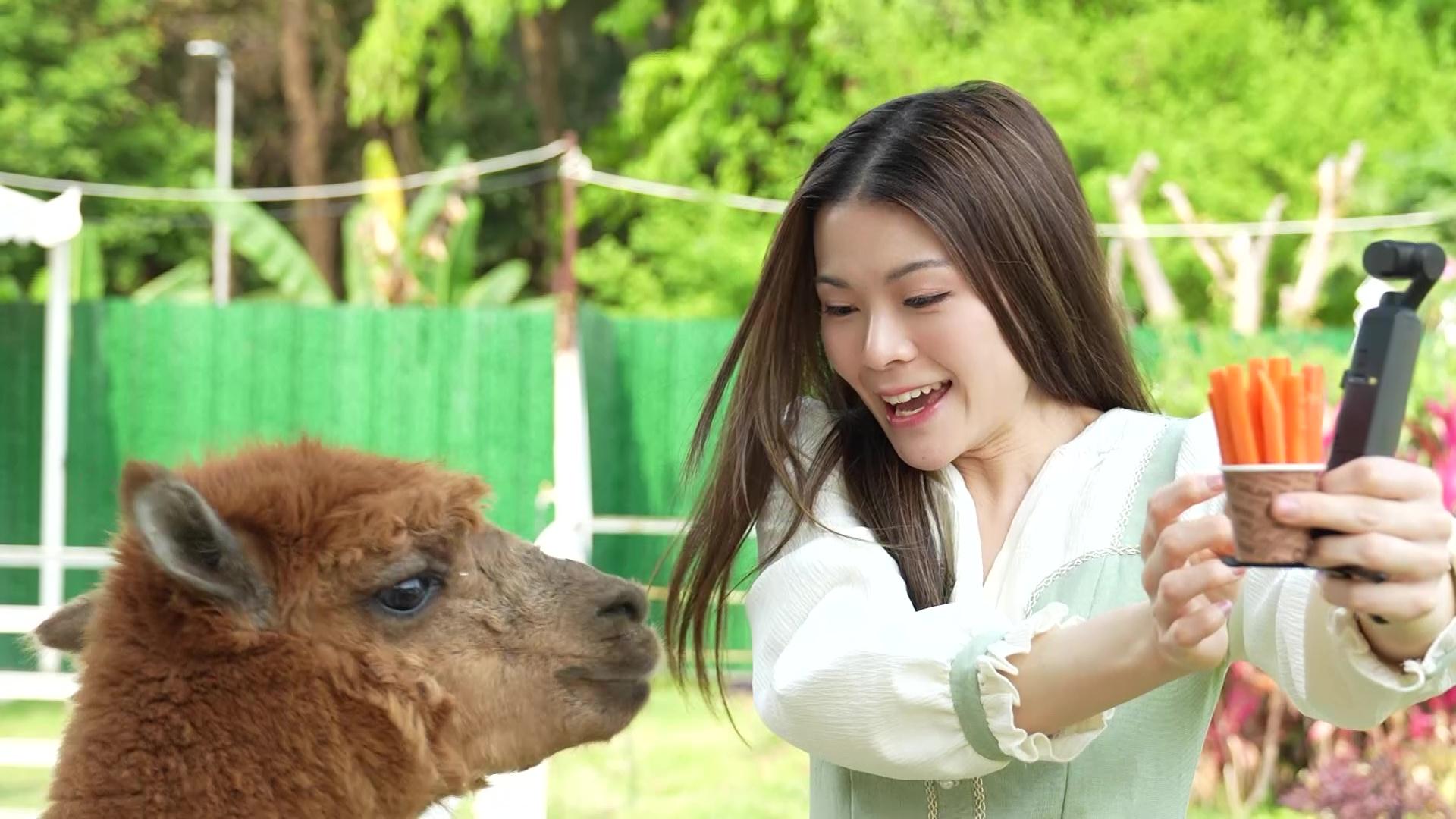 善玥澄個人介紹片。