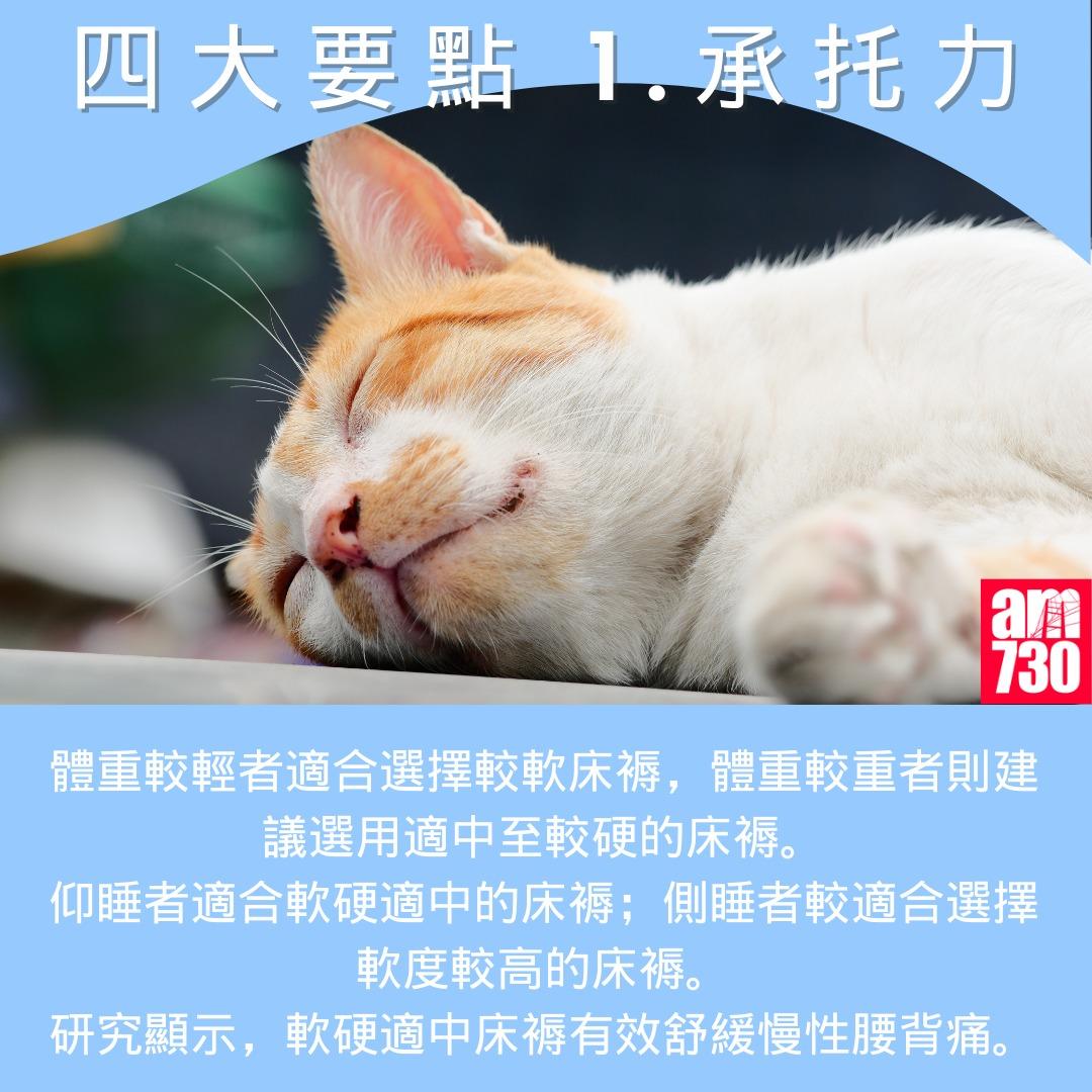 護脊床褥點揀好?四大要點1.承托力(am730製圖)