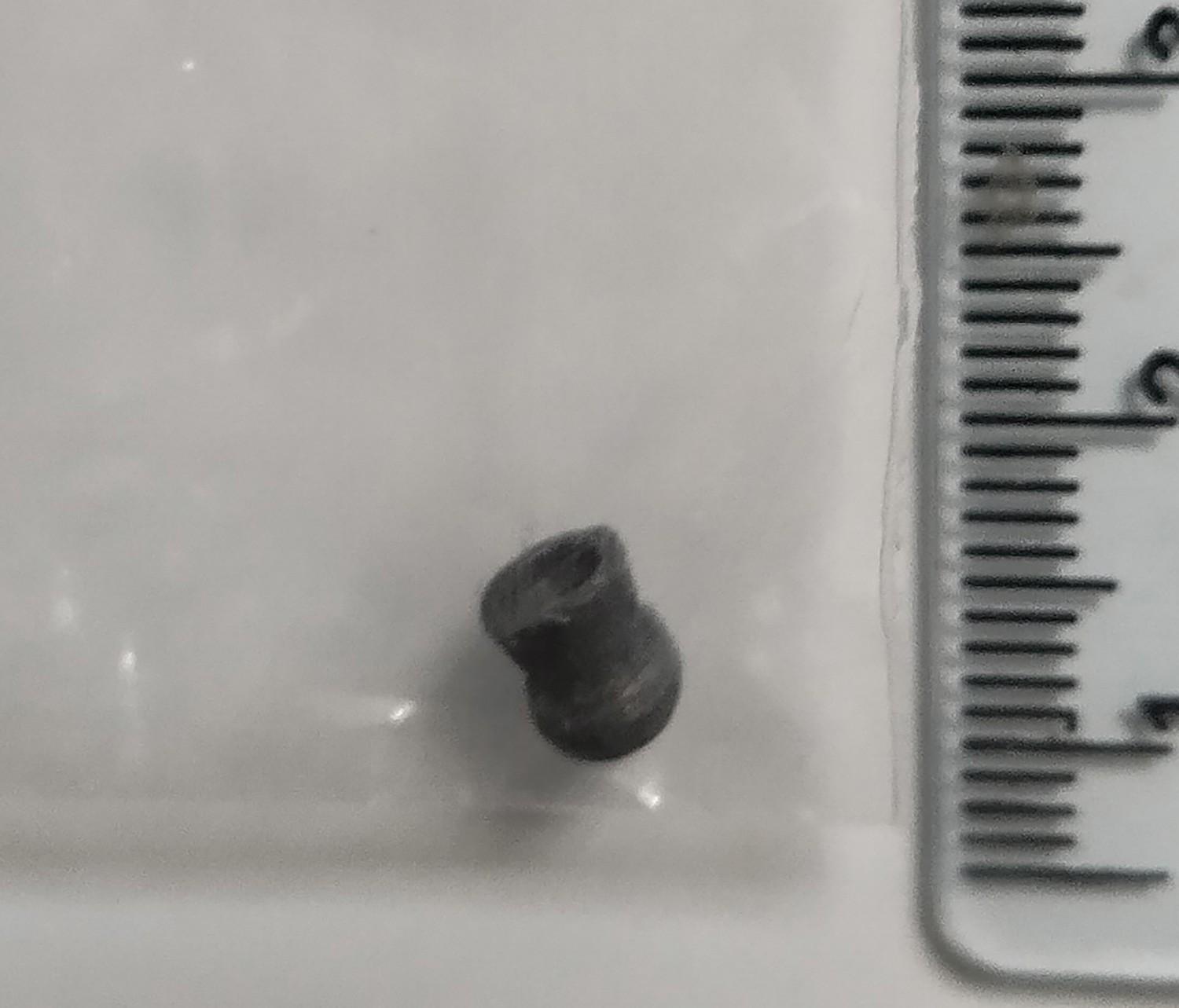 嘉道理農場接收受傷鳳頭鷹(嘉道理農場FB圖片)