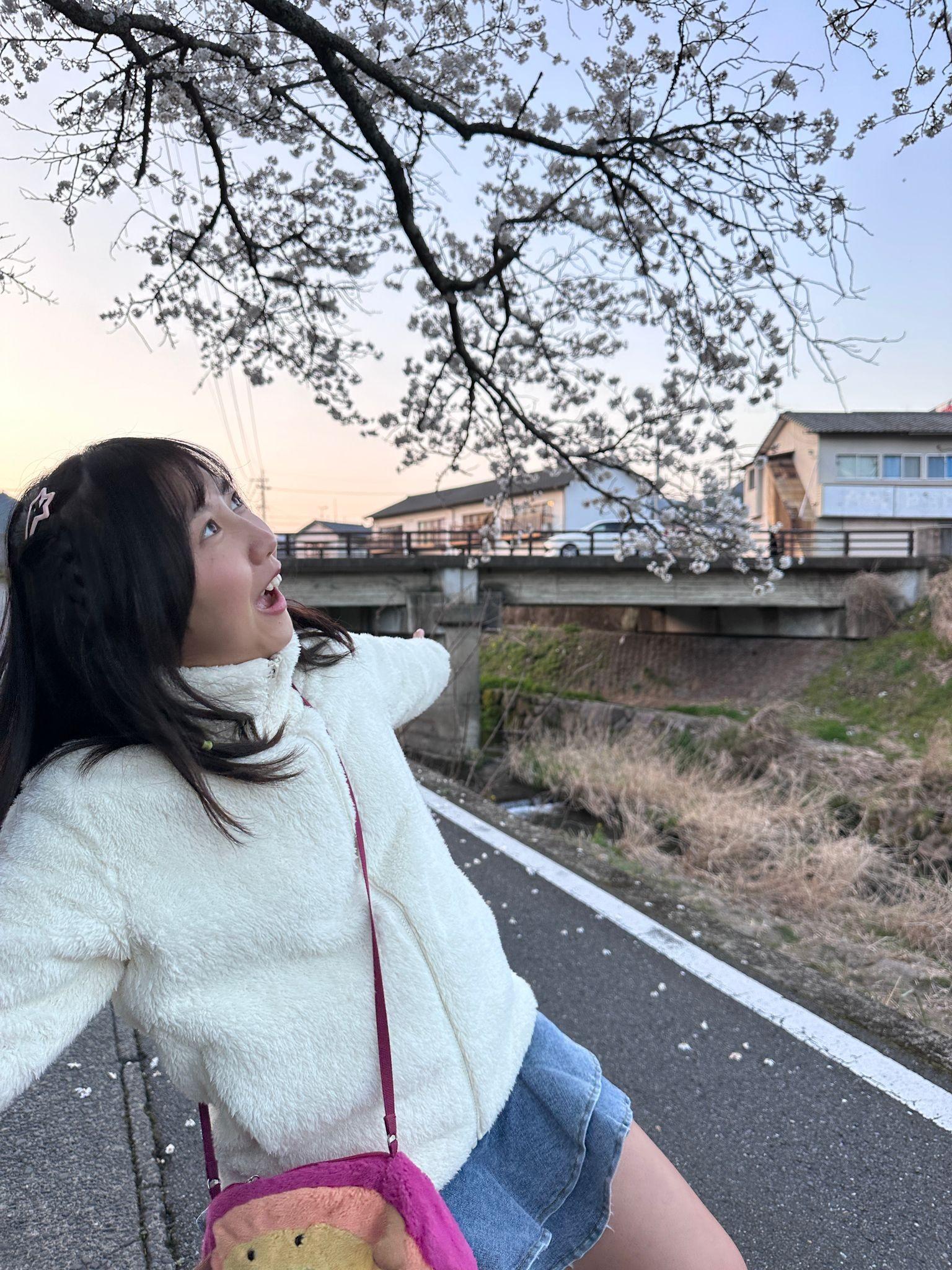 「美心妹妹」Celine楊鎧凝冷靜應對日本地震預言。(facebook@Celine 楊鎧凝)