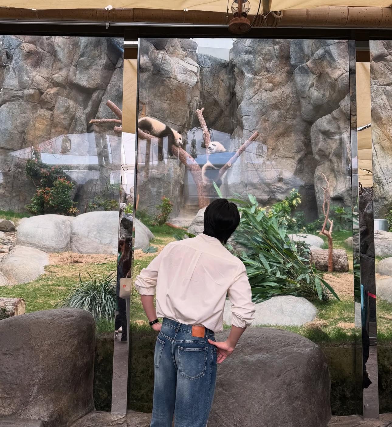 魏河俊獲旅發局安排,到海洋公園睇熊貓。