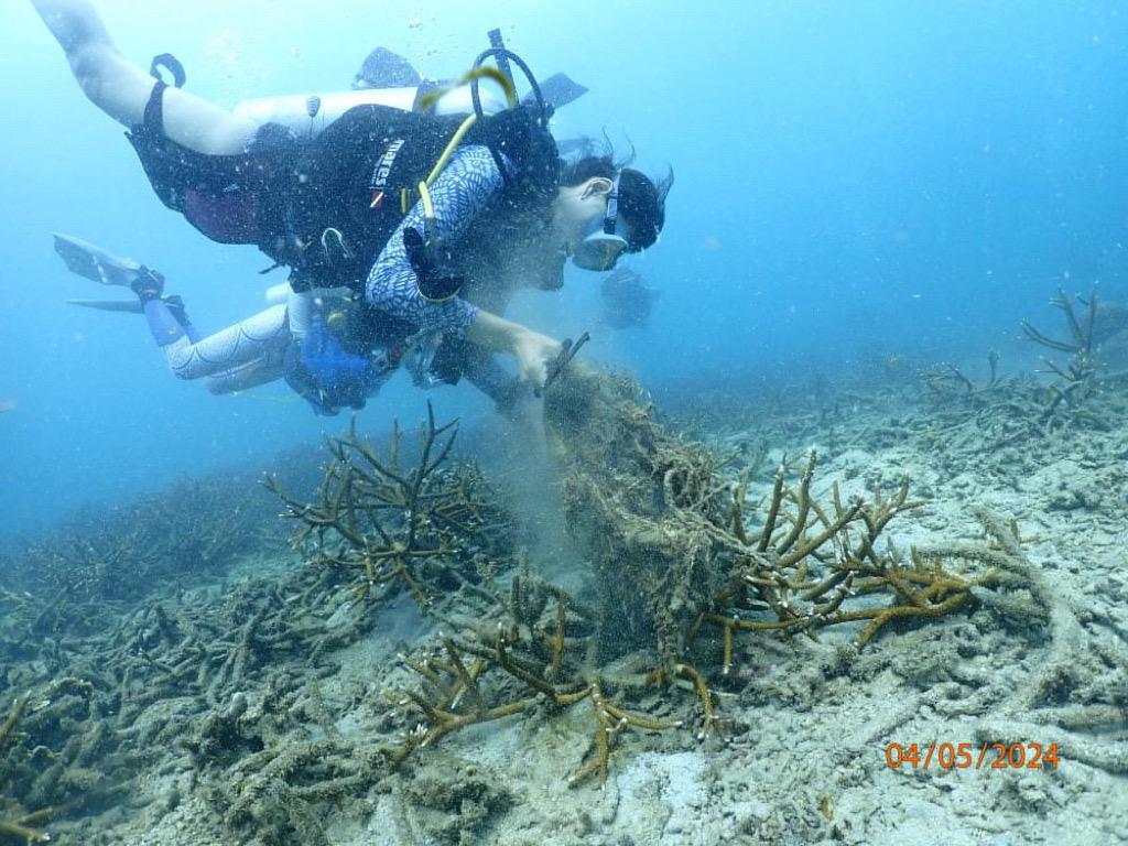 6月活動:《海底奇「Bring」清潔大賽 2025》潛水員們將以兩人一隊的形式組成不同小組,展開激烈的競賽,看看誰能各自在水下收集到最多垃圾。