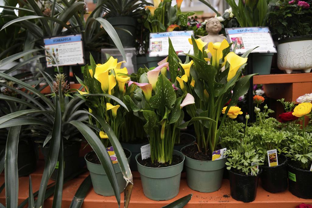 美加近日在關稅問題上爆發爭端。圖為芝加哥售賣從加拿大進口的鮮花。(美聯社)