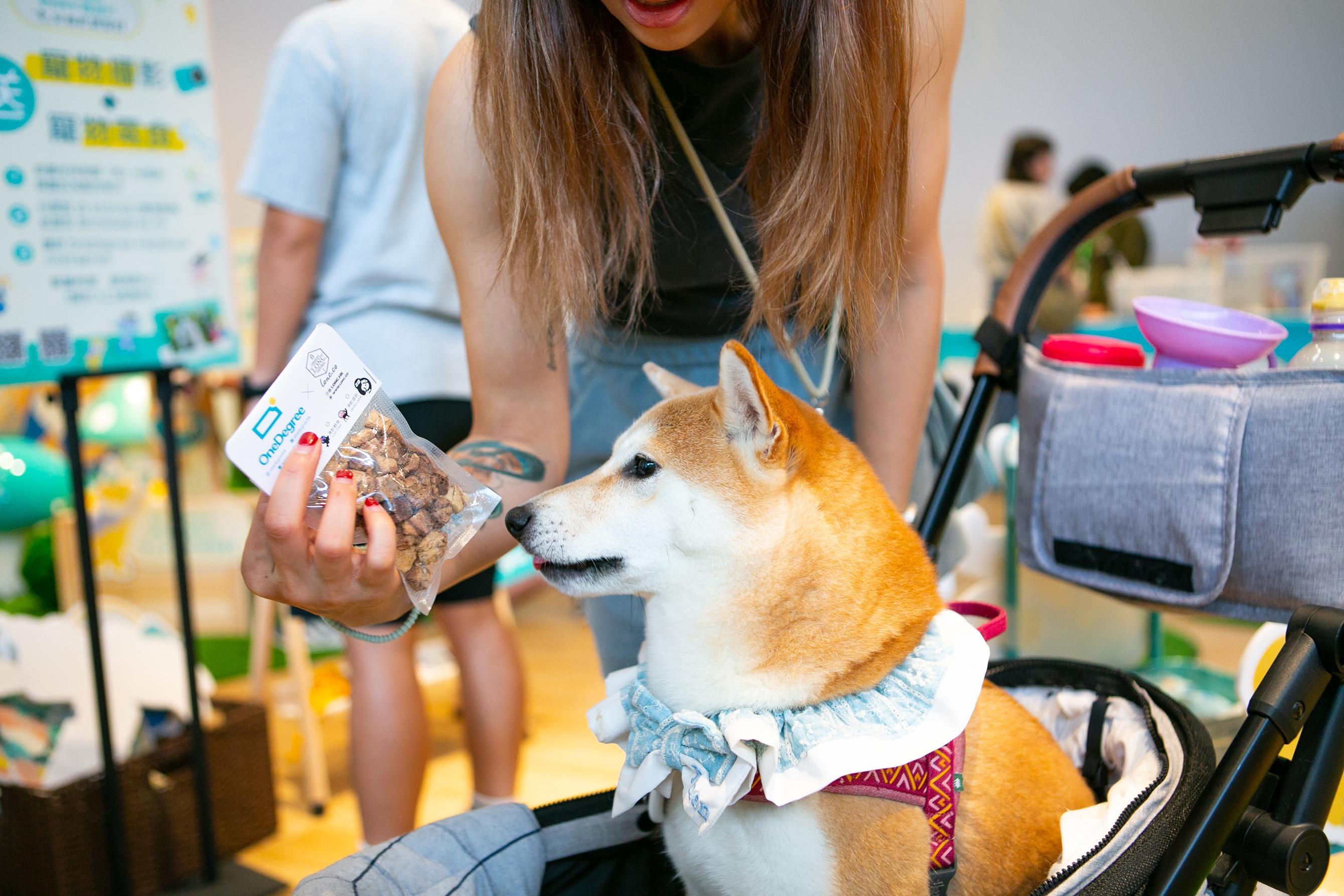 OneDegree X Hello Kitty人寵嘉年華