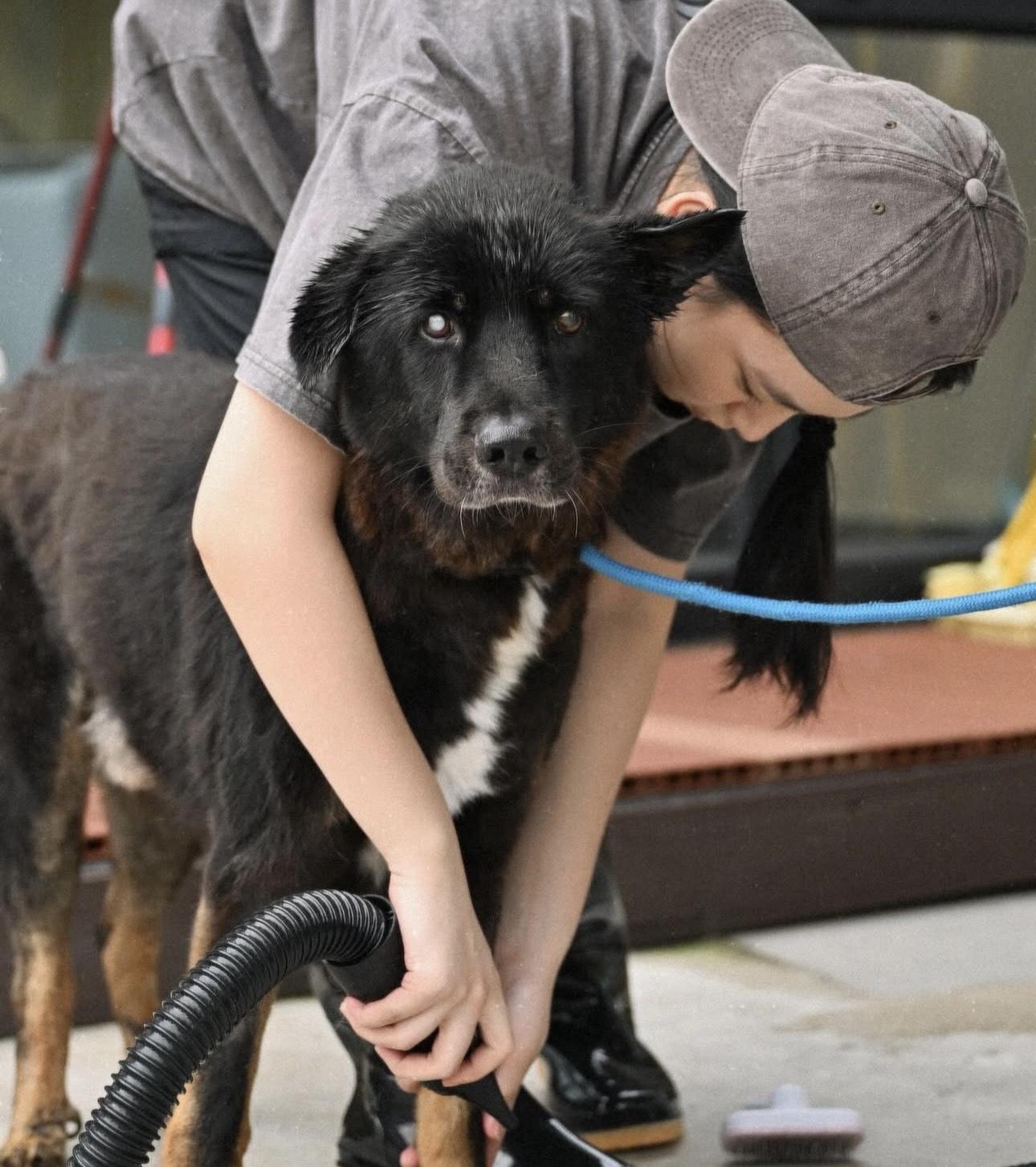 Gigi 落手落腳幫狗仔沖涼。