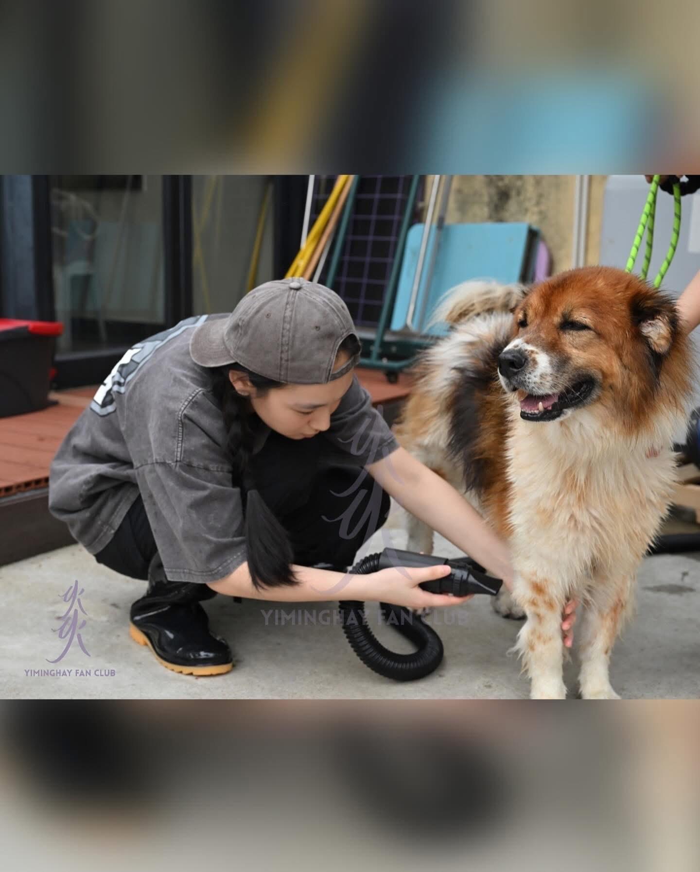 Gigi獲網民激讚人美心善。