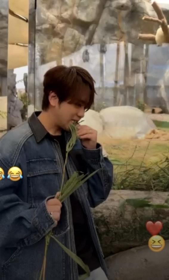 姜濤咬了兩口,並表示:「好苦澀,聞落去有浸清香味。」