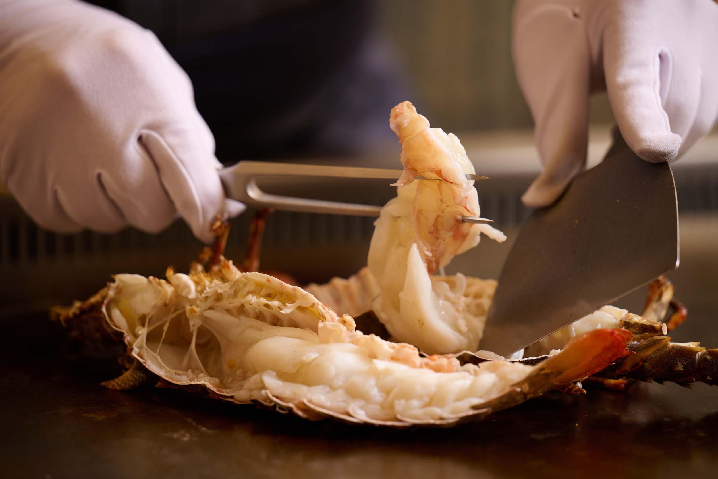 每日由南澳直送到港的3斤重鮮活龍蝦