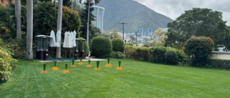 紅蘿蔔投環挑戰