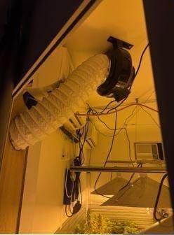 大量接駁的電線。