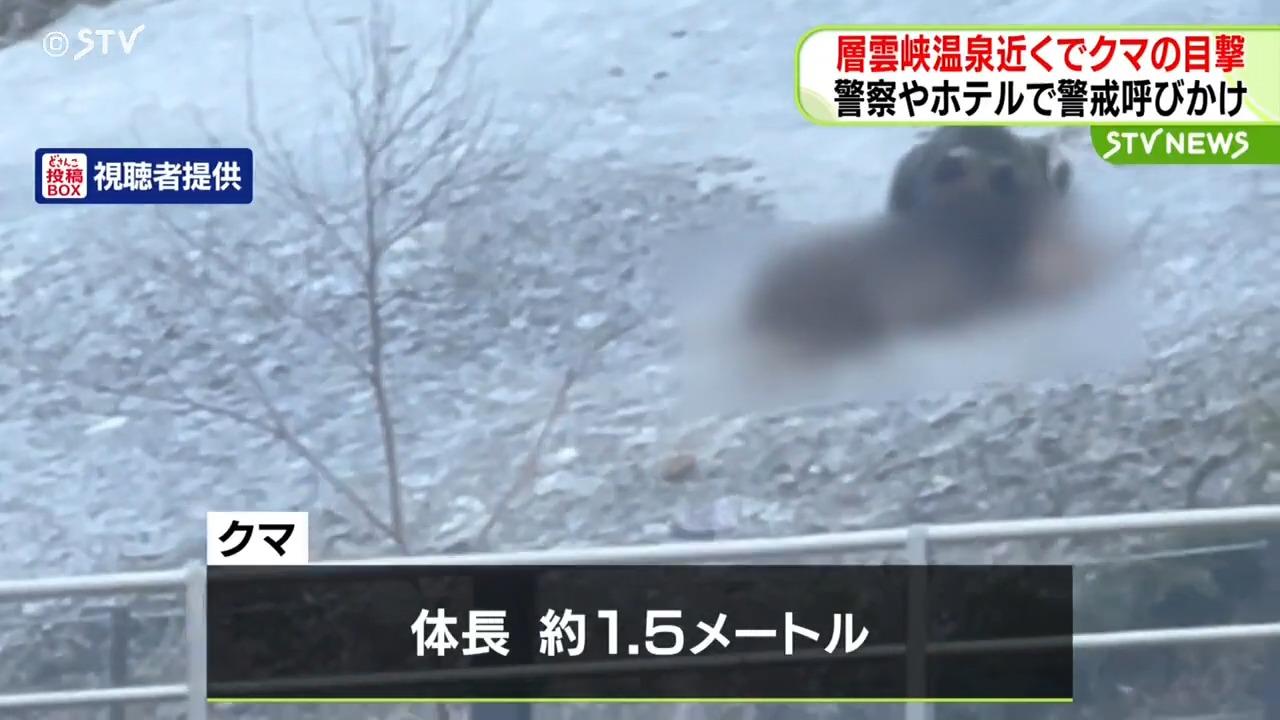 北海道溫泉區遊客發現一頭成年熊隻在酒店附近出沒。(網上截圖)