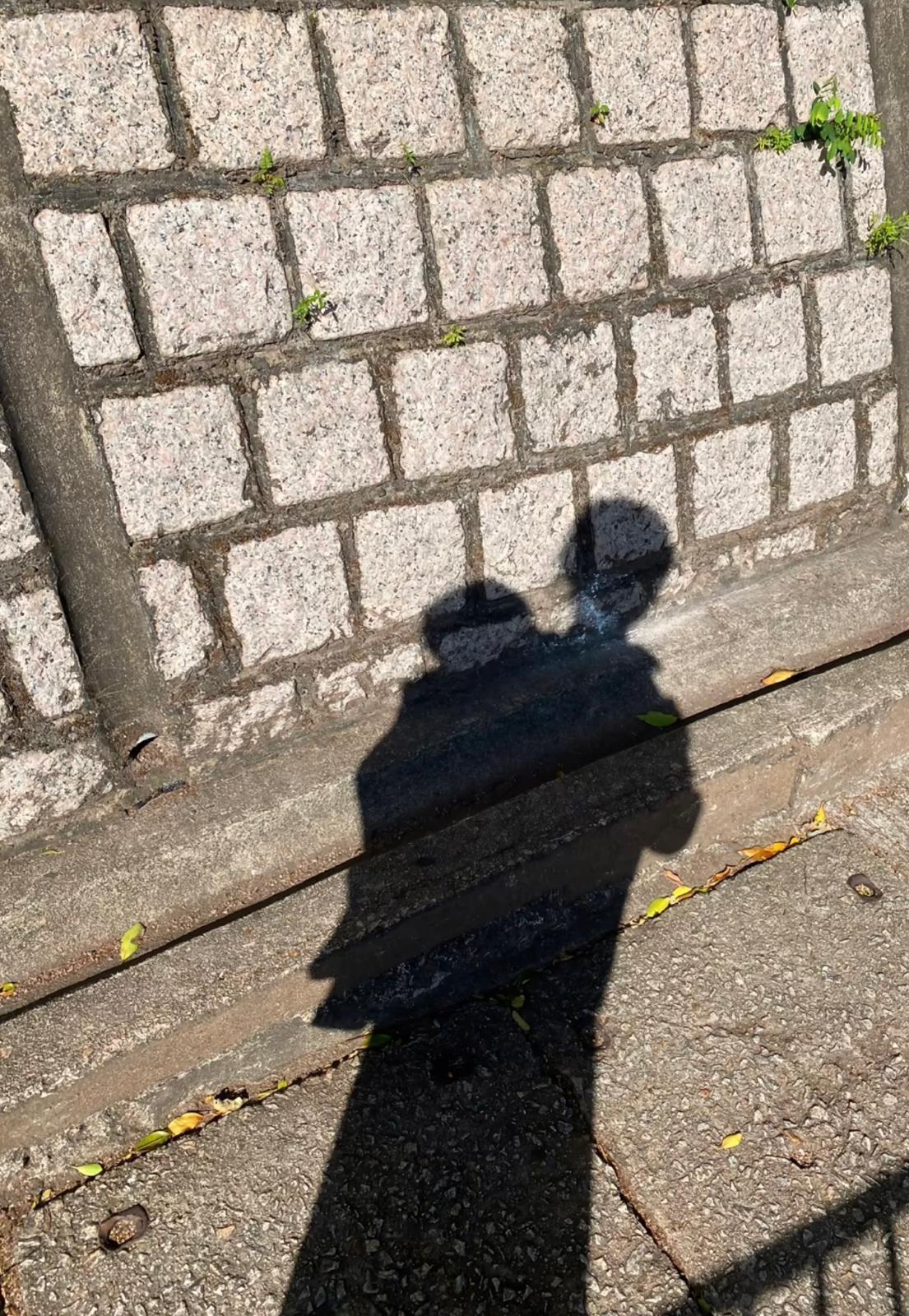 圖片來源:小紅書