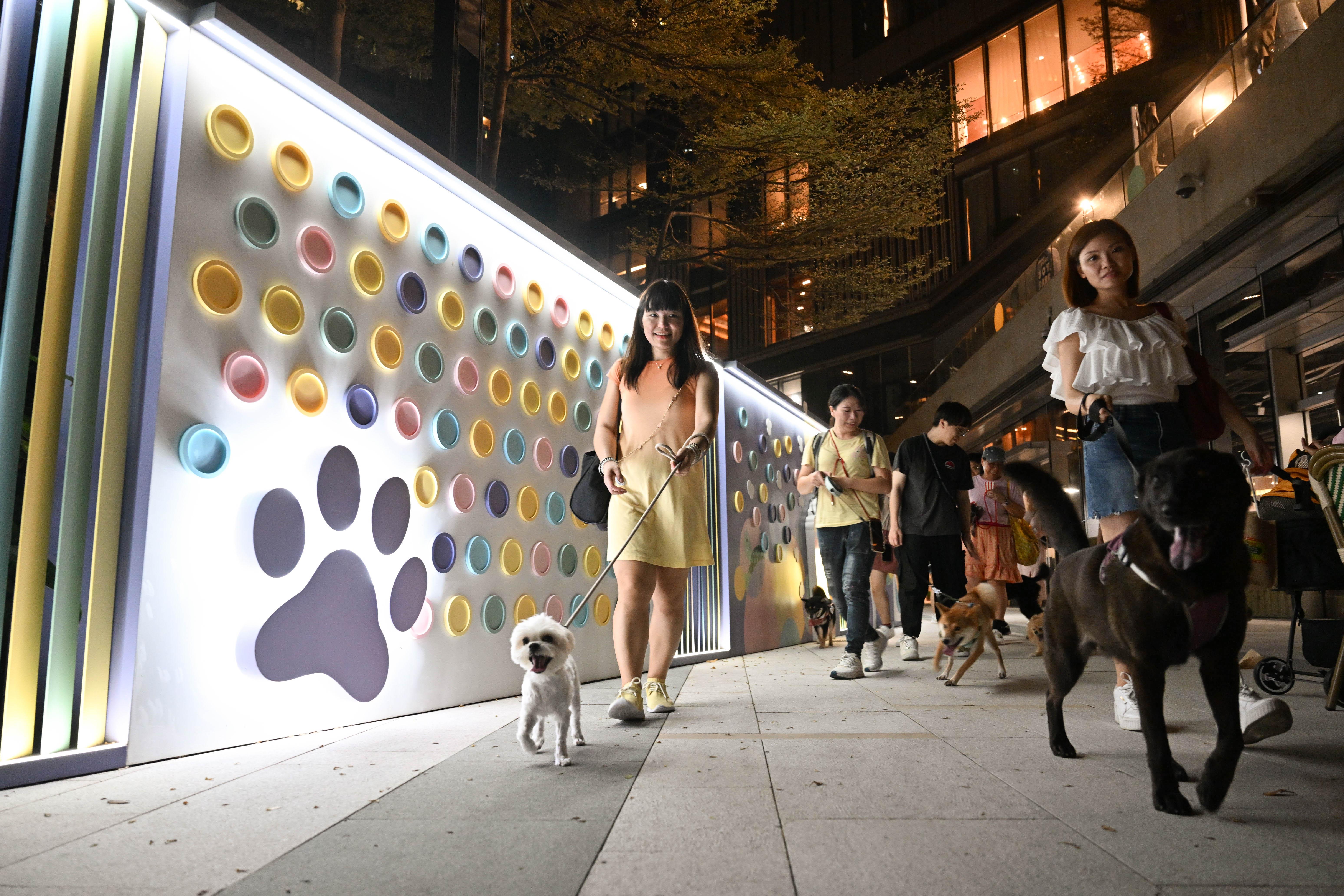 YOHO MALL 另一萌寵友善設施 - 近7,600 呎寵物公園DOT PARK