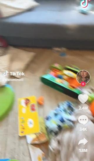 客廳一片凌亂。(互聯網)