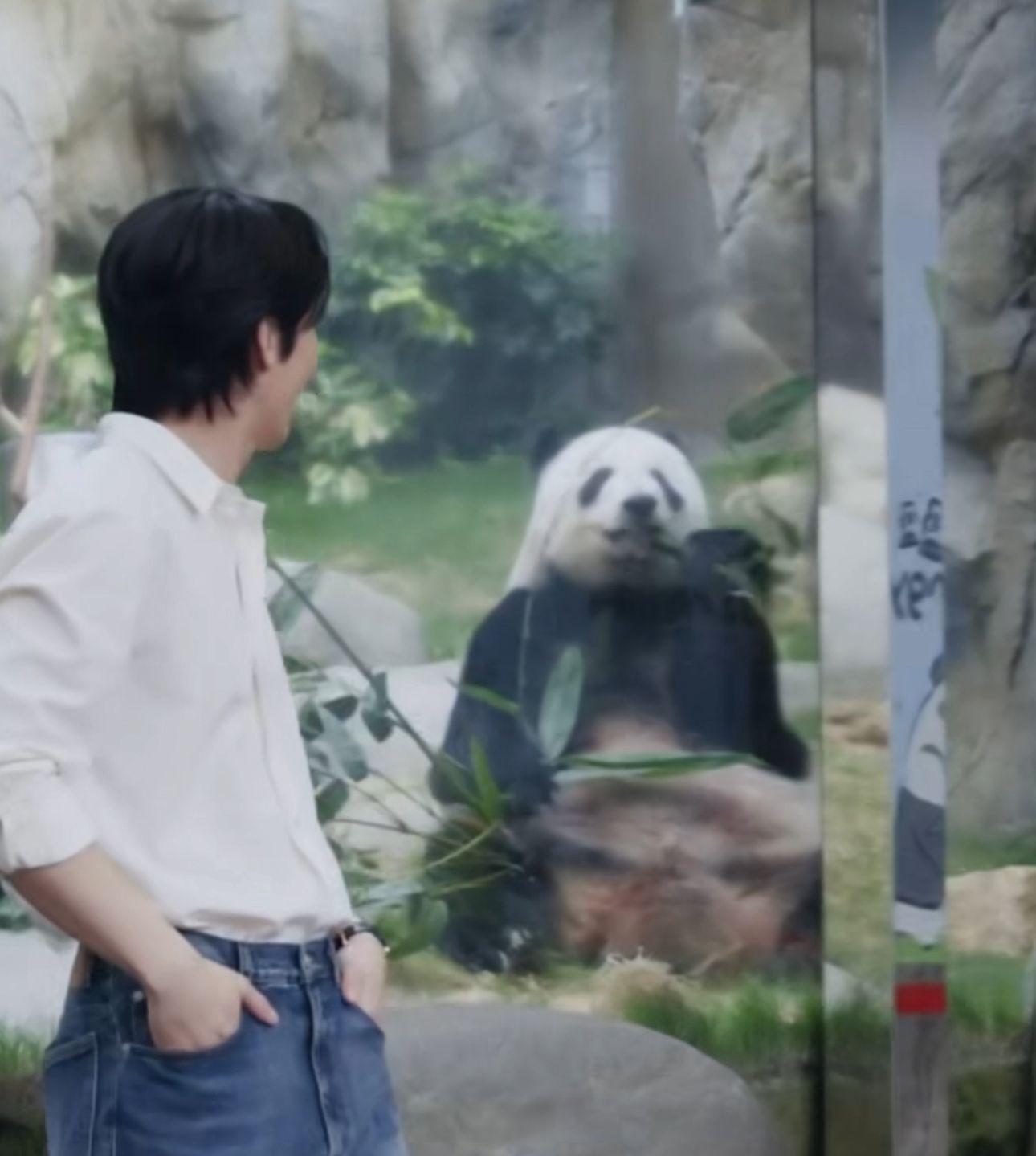 魏河俊獲旅發局安排,到海洋公園睇熊貓。