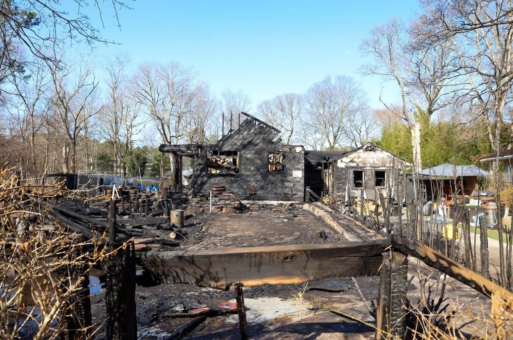 紐約長島「快樂貓之家」發生大火,貓舍全部焚毀。(互聯網)