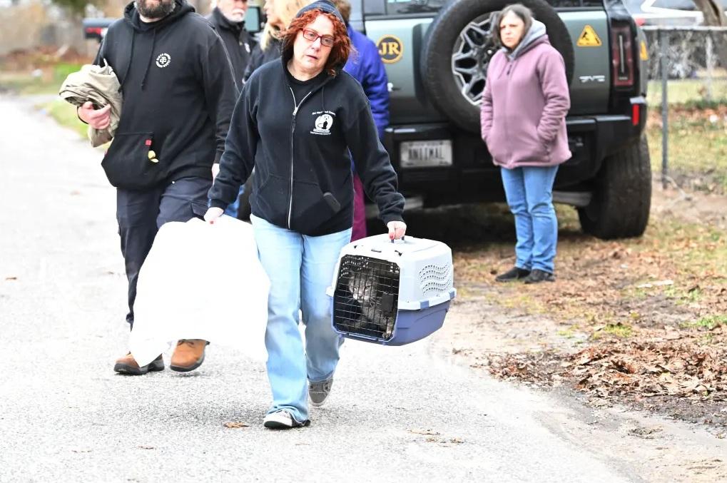 救援組織帶走倖存貓咪。(互聯網)