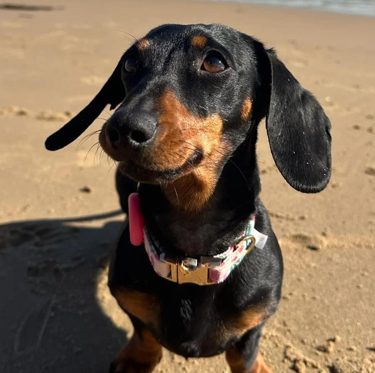 失蹤前的瓦萊麗。(互聯網)