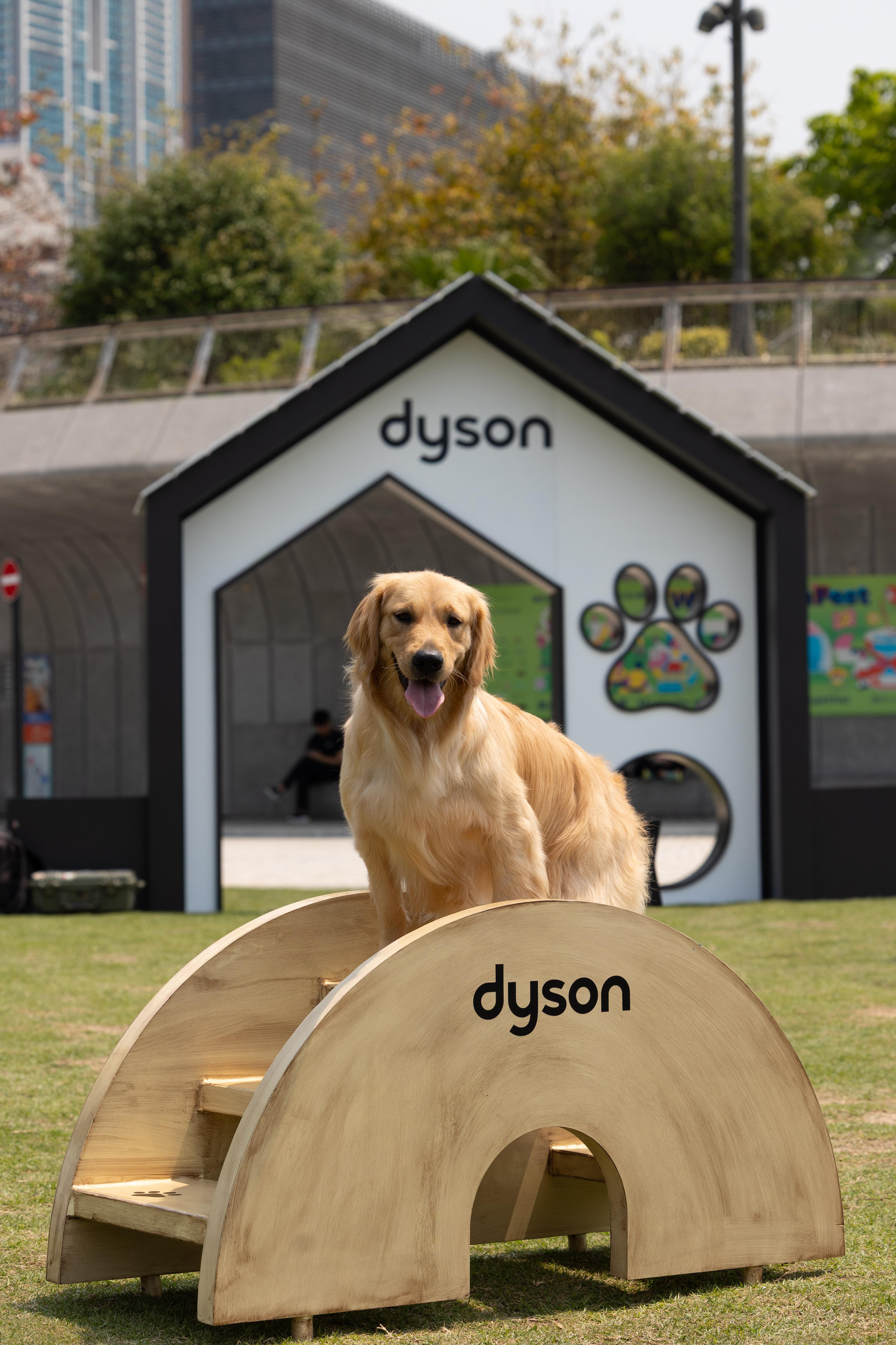 Dyson「淨係寵你」人寵共樂活動打卡位。