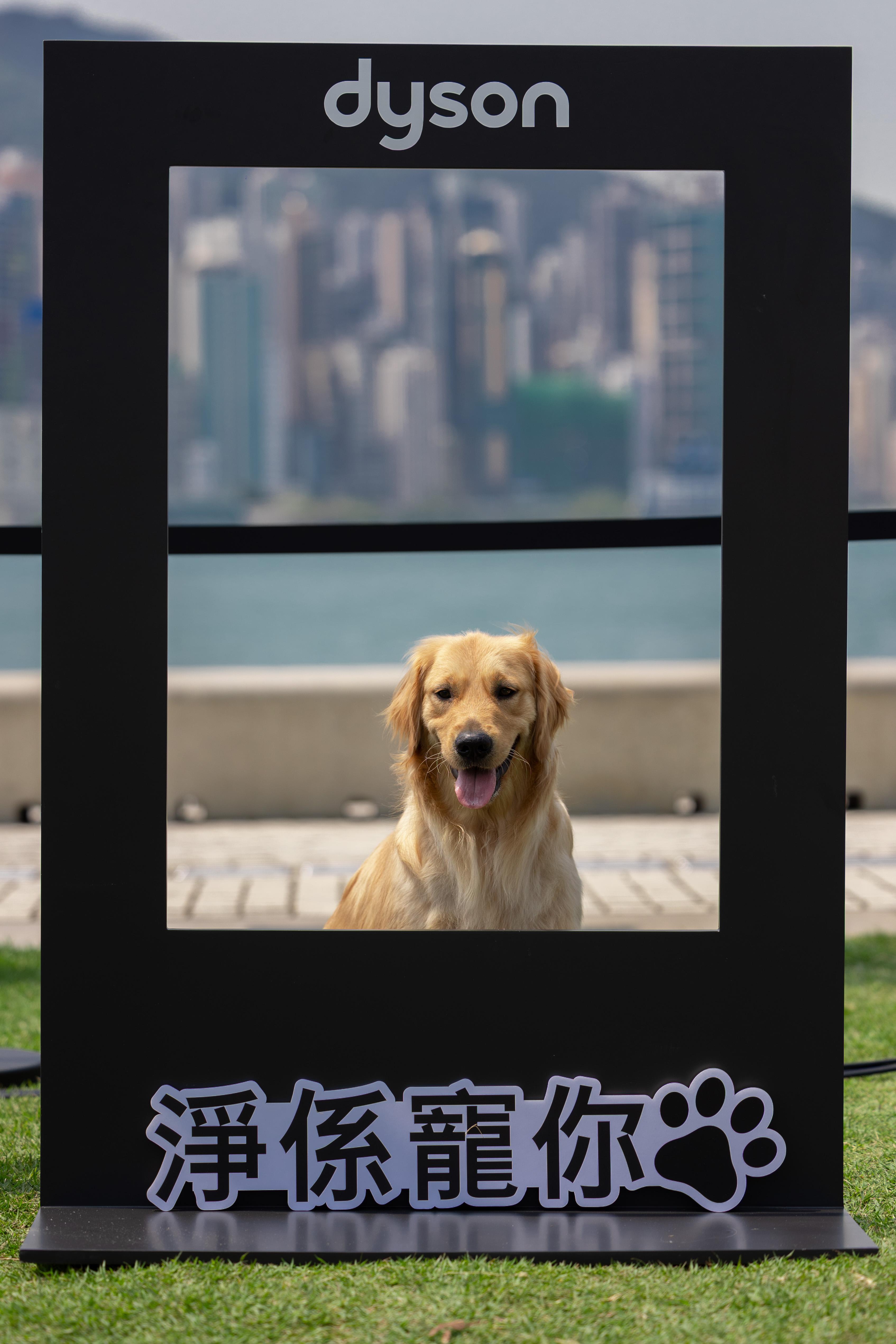 Dyson「淨係寵你」人寵共樂活動打卡位。