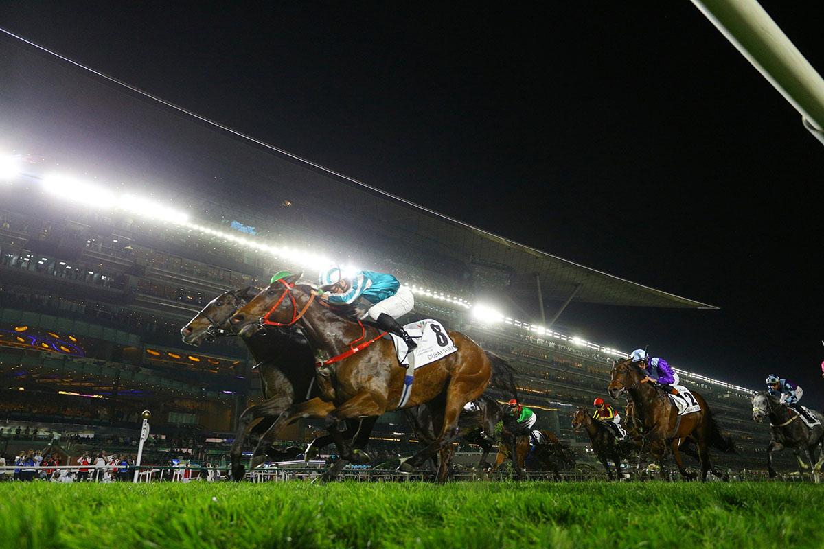 「浪漫勇士」(8號馬匹)出戰杜拜草地大賽。(馬會提供)