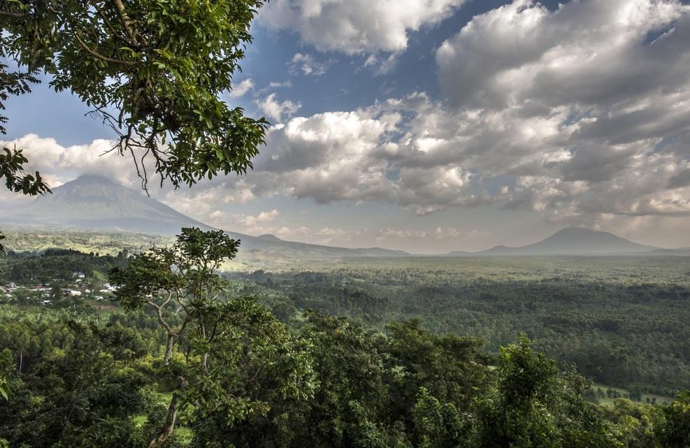 剛果維龍加國家公園已被聯合國列為世界自然遺產。(互聯網)