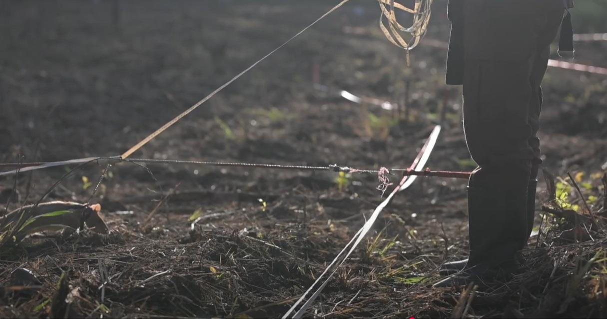 Ronin努力嗅聞地雷。(互聯網)