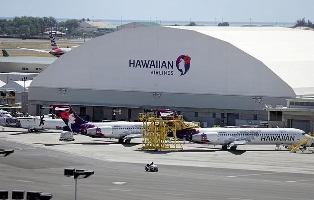 兩名德國背包客在夏威夷入境時被海關人員嚴格審查。(互聯網)