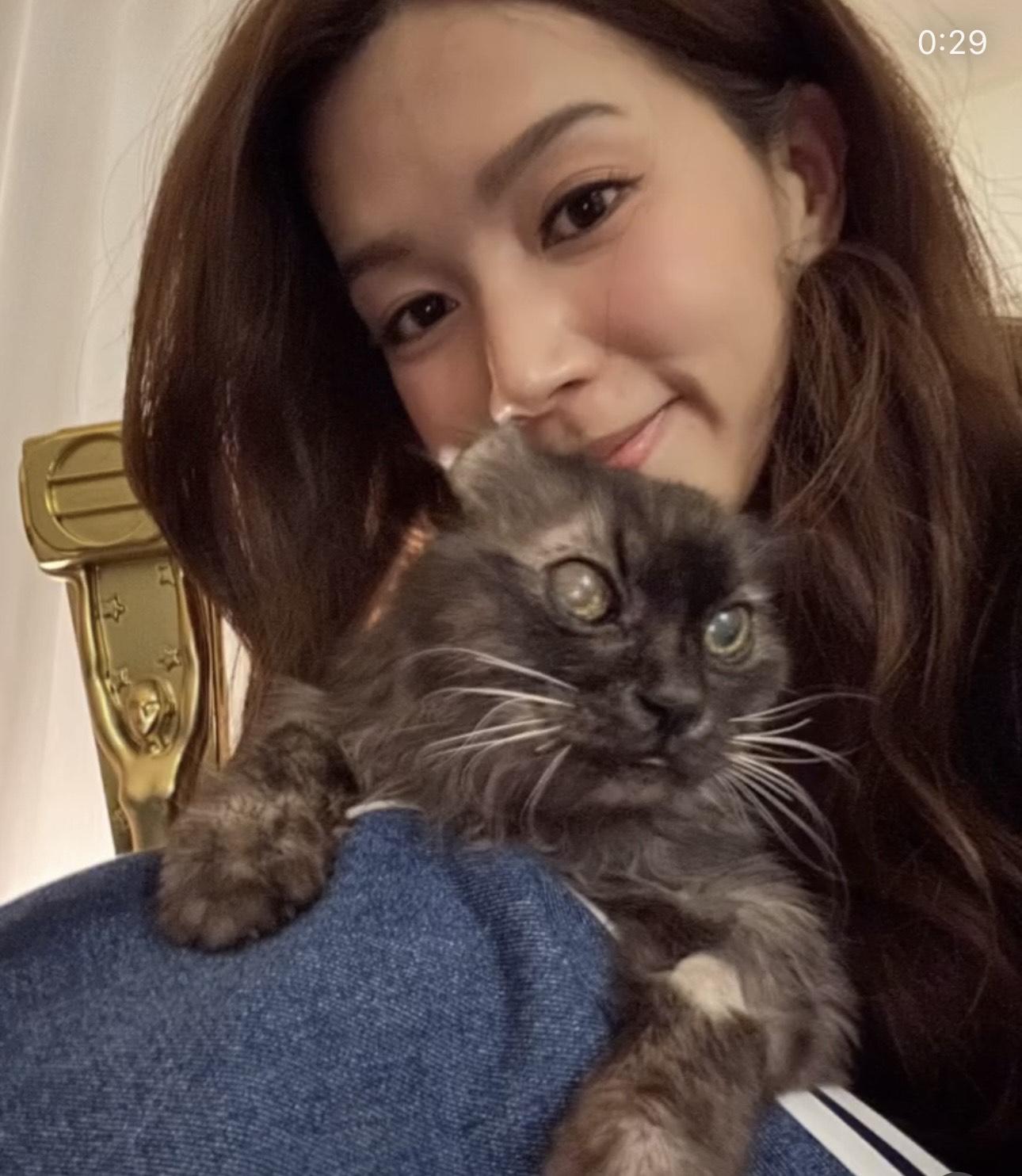 傅嘉莉向來是愛貓之人。