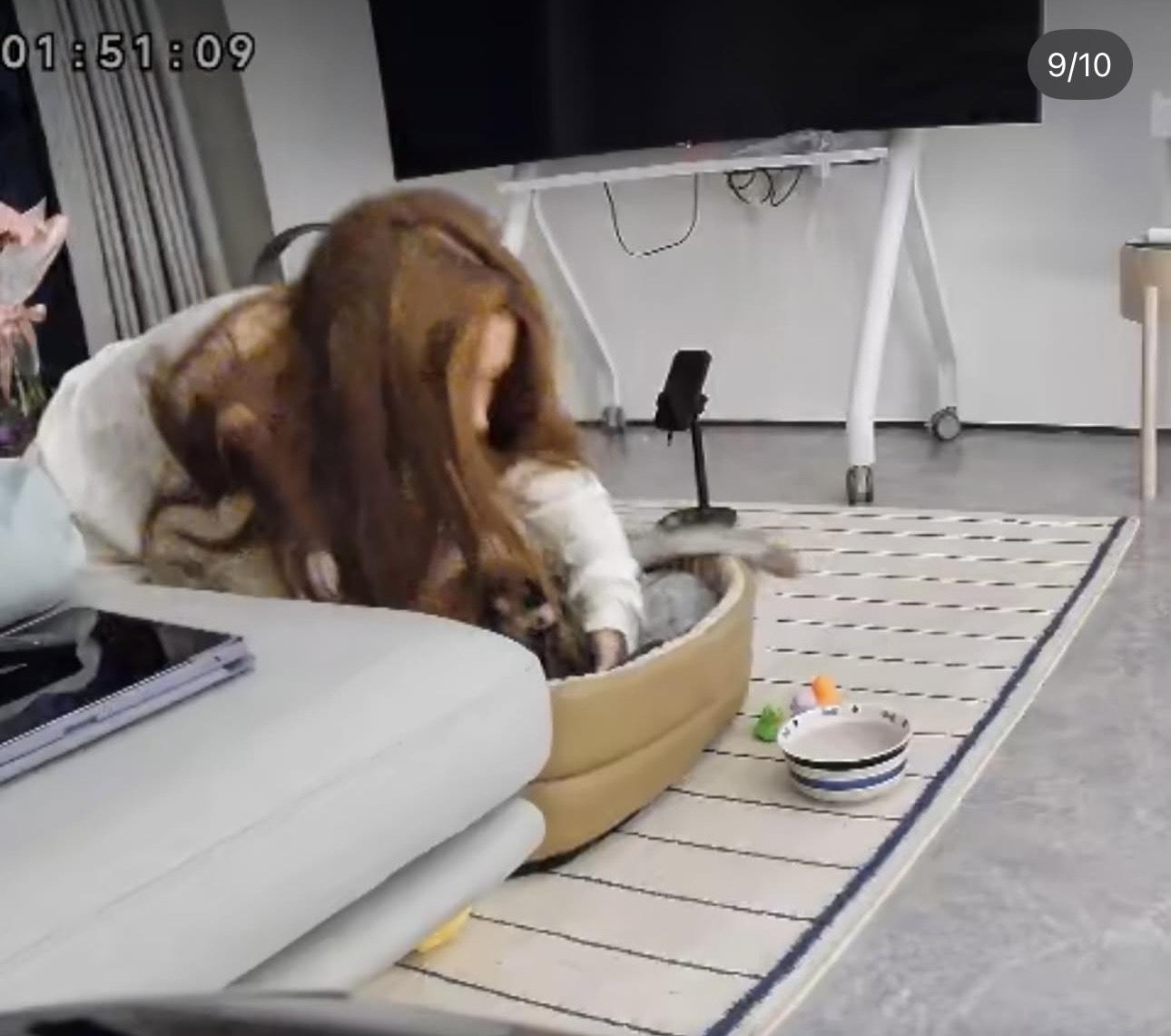 有人批評傅嘉莉借愛貓刷流量:「咁傷心仲可以翻看閉路電視cap圖。」