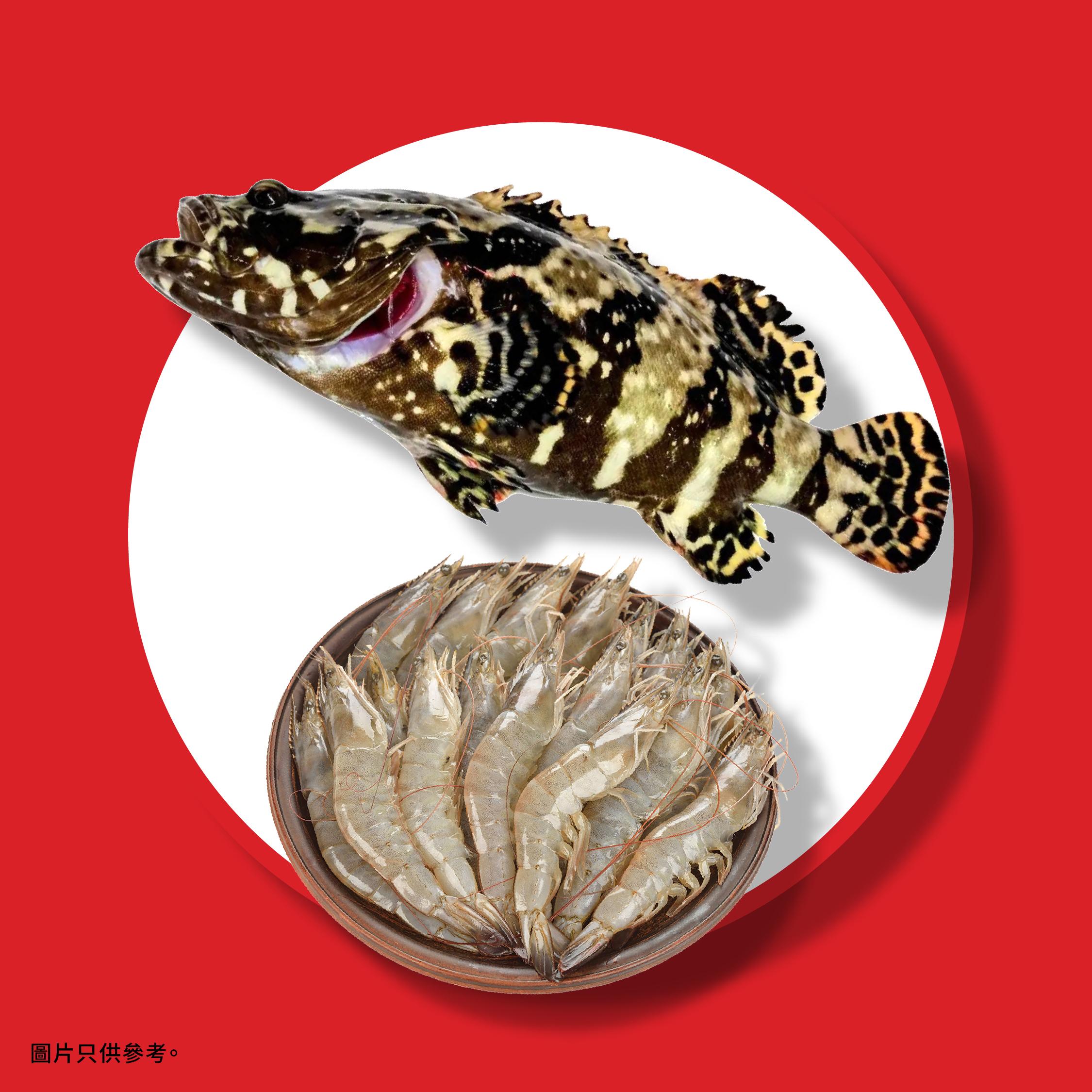 利記海鮮孖寶 - 沙巴龍躉(約10至12兩)及基圍蝦(1斤)