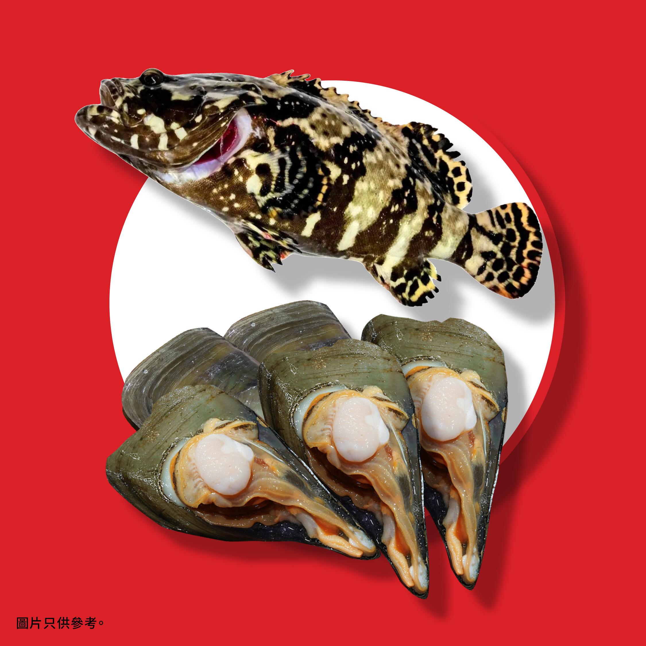 利記海鮮孖寶 - 沙巴龍躉(約10至12兩)及帶子(5隻)