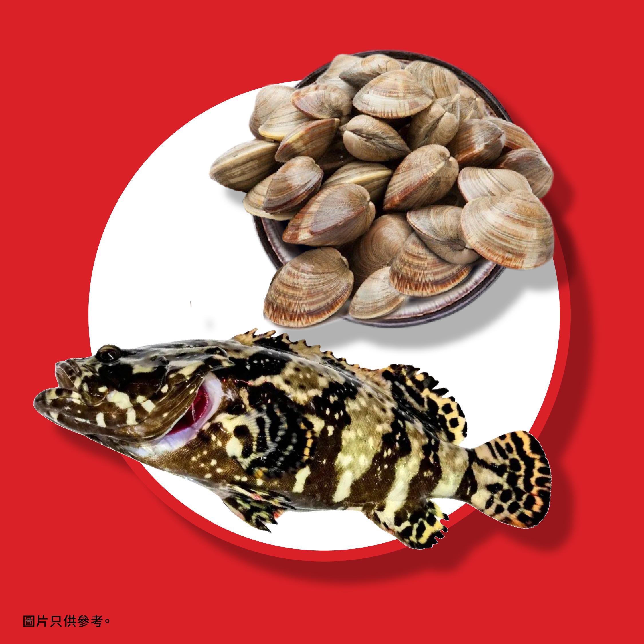 利記海鮮孖寶 - 沙巴龍躉(約10至12兩)及鳳紋貝(2斤)