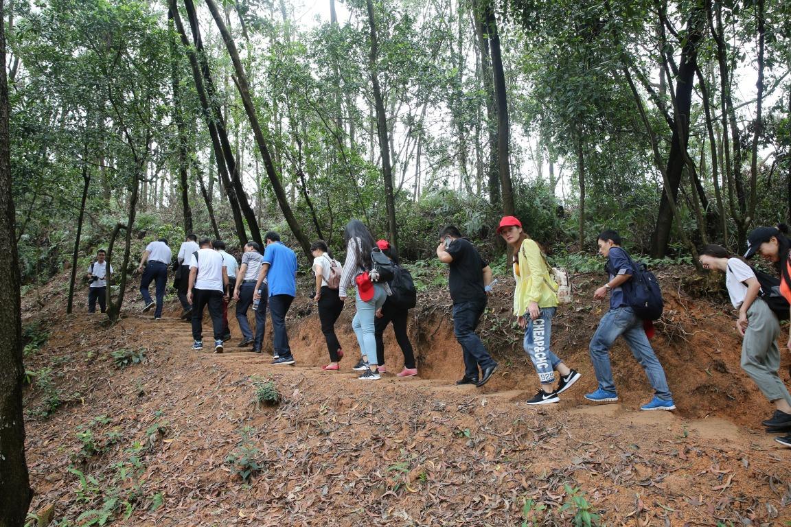 岐澳古道五桂山段是中山市民的郊遊遠足好去處。(圖片來源:視覺中國)