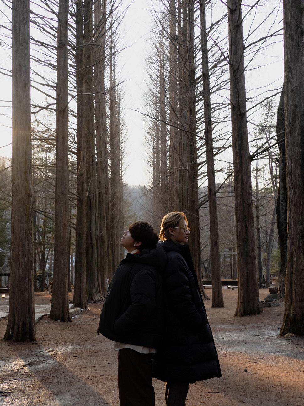 姜濤、Anson Lo、Edan和Jeremy往韓國拍「妹豬組」團綜《呂濤米Lo Seoul》。