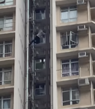 上水一名男子周六(3日)化身「蜘蛛俠」,在清河邨清譽樓的外牆水管爬上爬落,更身手敏捷大玩「高空飛躍」,跳去相隔3米闊的另一邊水管,險象橫生嚇煞街坊。(清河邨 & 祥龍圍邨fb)