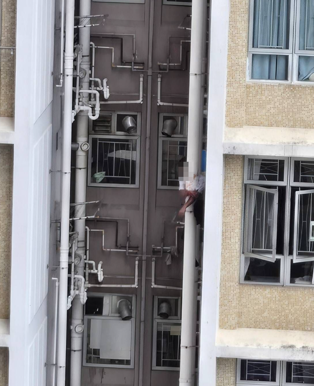 上水一名男子周六(3日)化身「蜘蛛俠」,在清河邨清譽樓的外牆水管爬上爬落,更身手敏捷大玩「高空飛躍」,跳去相隔3米闊的另一邊水管,險象橫生嚇煞街坊。(香港交通及突發事故報料區fb)