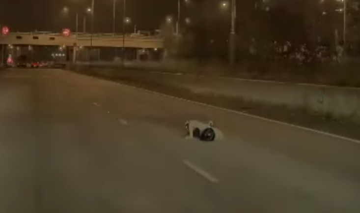 赤膊男沿快線奔跑,期間一輛駛至七人車收慢,赤膊男圖打開車門但不成功,並被私家車拖行,其後失平衡跌倒,七人車絕塵而去。(車cam L(香港群組)FB)