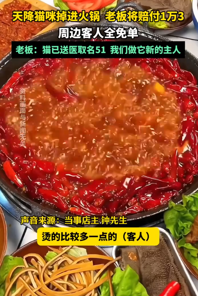 5月2日晚間,重慶市九龍坡區一家火鍋店外,一隻貓從天而降意外掉進露天座位的滾燙麻辣火鍋當中,有9名客人被熱湯燙傷。