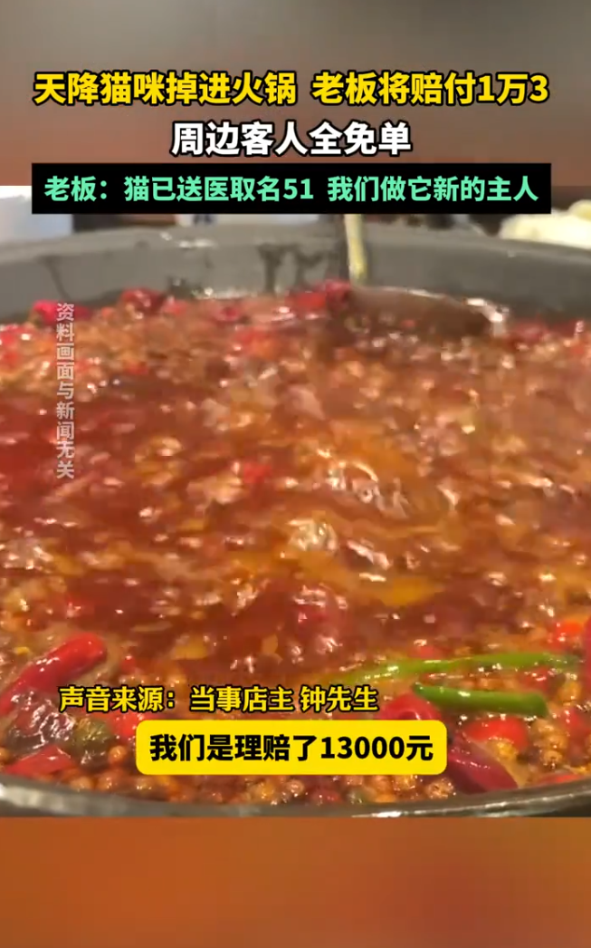 5月2日晚間,重慶市九龍坡區一家火鍋店外,一隻貓從天而降意外掉進露天座位的滾燙麻辣火鍋當中,有9名客人被熱湯燙傷。