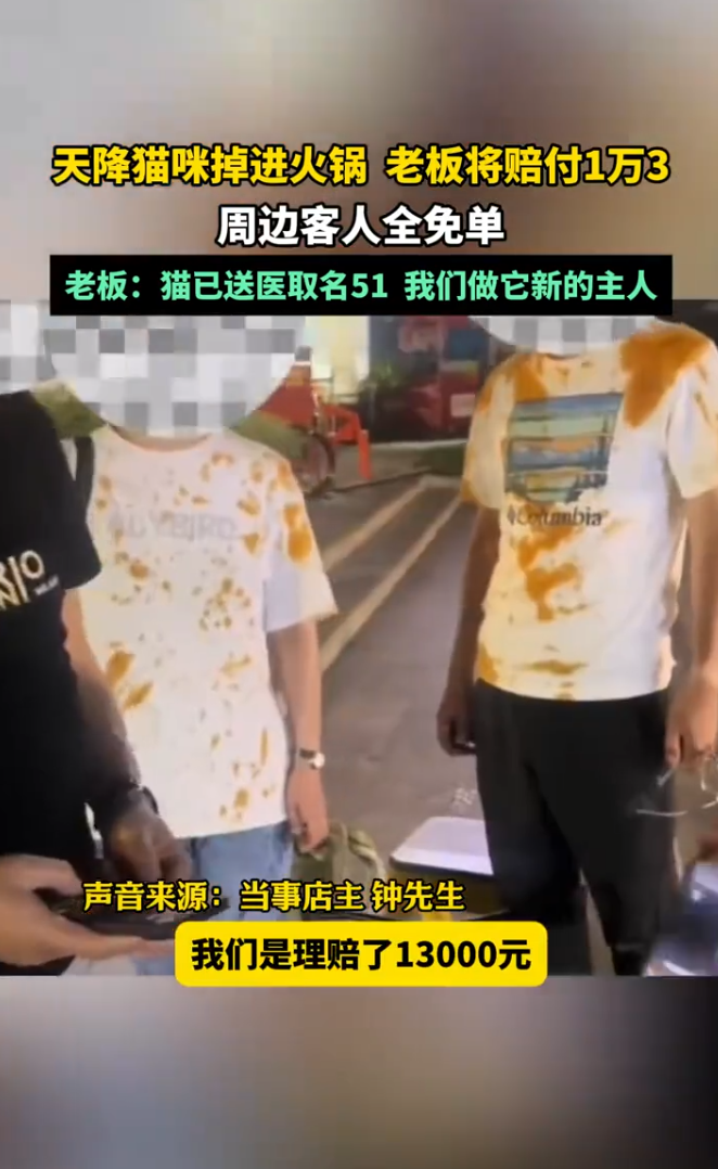5月2日晚間,重慶市九龍坡區一家火鍋店外,一隻貓從天而降意外掉進露天座位的滾燙麻辣火鍋當中,有9名客人被熱湯燙傷。
