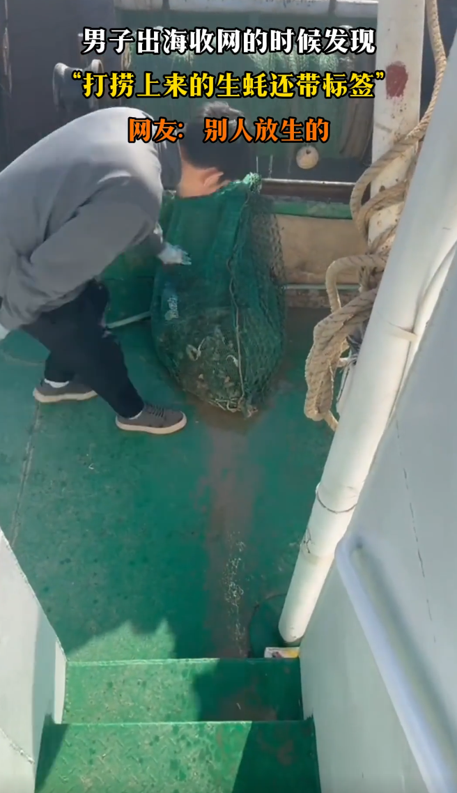 網傳影片中,打撈船一如既往出海作業,當船上漁工將漁網拉起,準備查看收穫時,竟發現打撈上來的生蠔中,好幾個蠔殼身上都貼著黃色水產商品標籤。