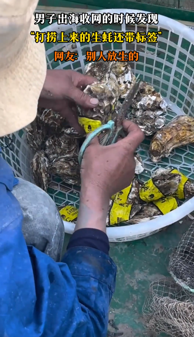 當船上漁工將漁網拉起,準備查看收穫時,竟發現打撈上來的生蠔中,好幾個蠔殼身上都貼著黃色水產商品標籤,上面生產公司、包裝日期、保質期、服務熱線等訊息一應俱全。