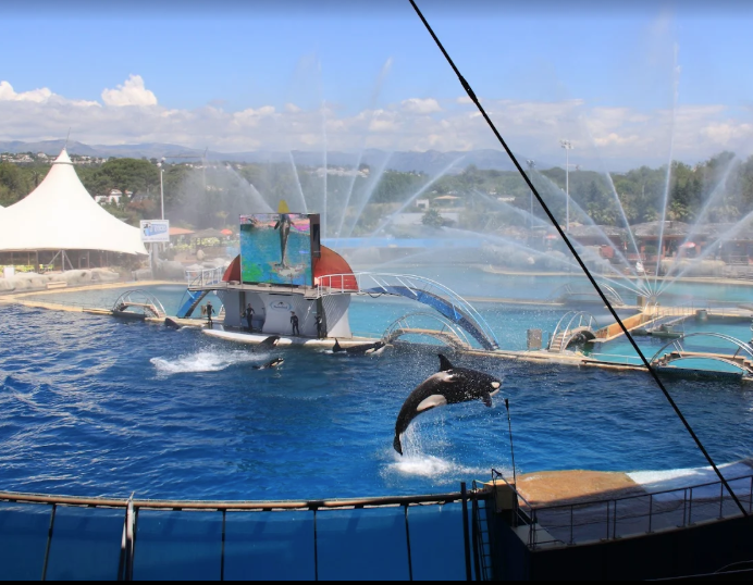 樂園往日景況。(資料圖片)
