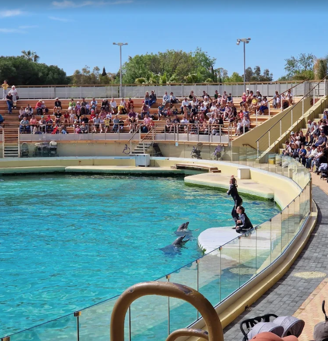 樂園往日景況。(資料圖片)