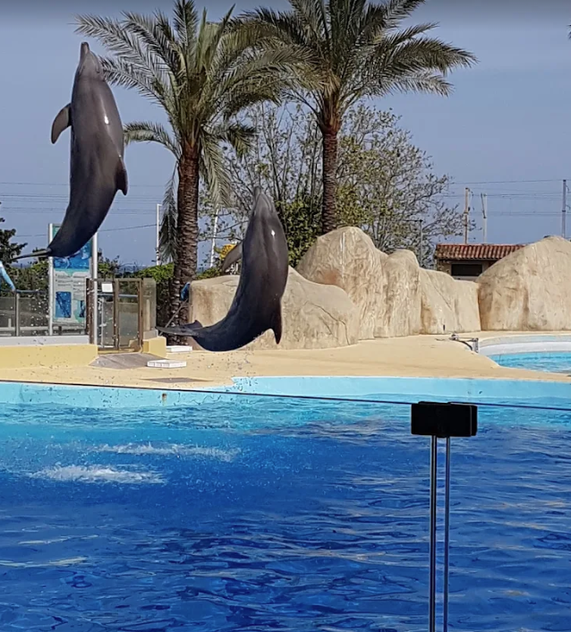 樂園往日景況。(資料圖片)