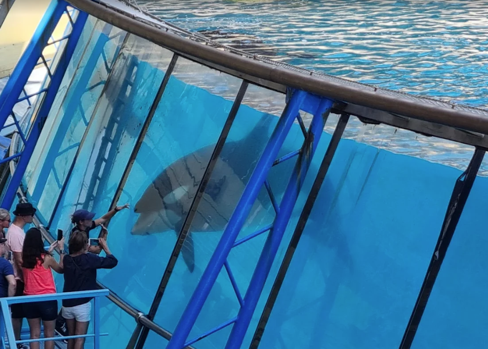 樂園往日景況。(資料圖片)