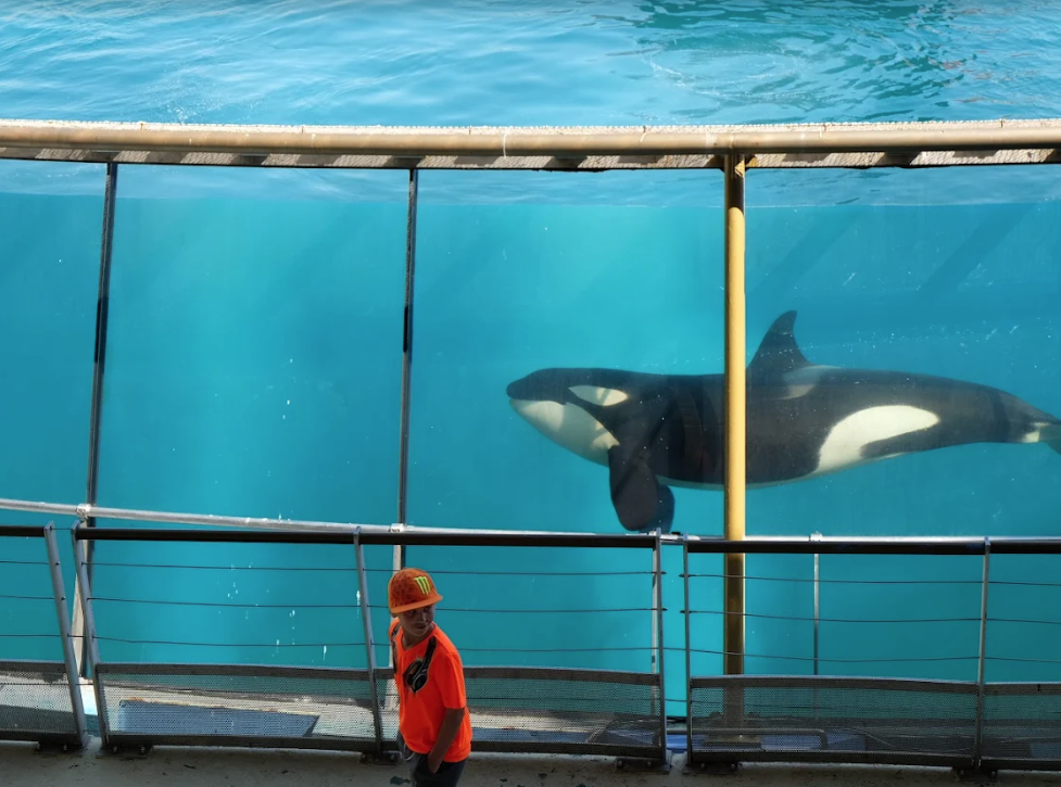 樂園往日景況。(資料圖片)