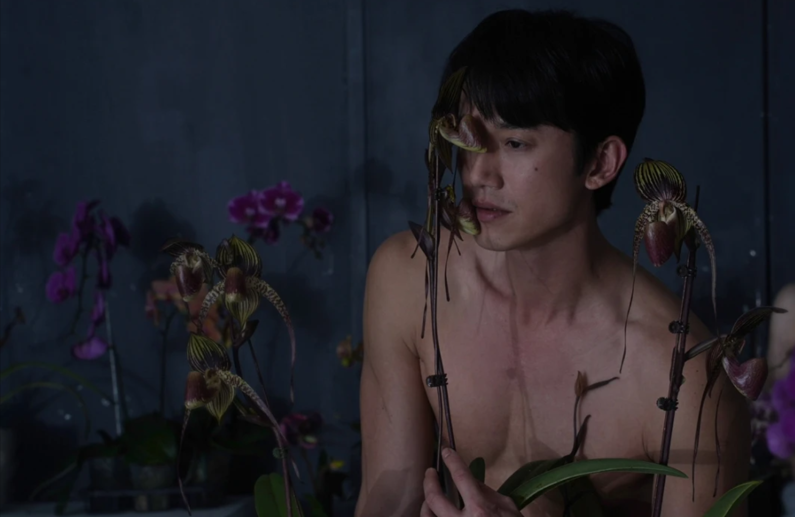 吳慷仁在《破浪男女》中全裸露生殖器演出,但卻無緣入圍爭獎。