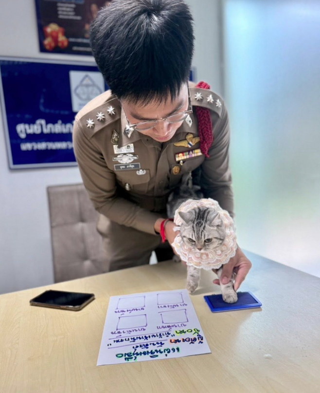 貓貓打指模。(互聯網)